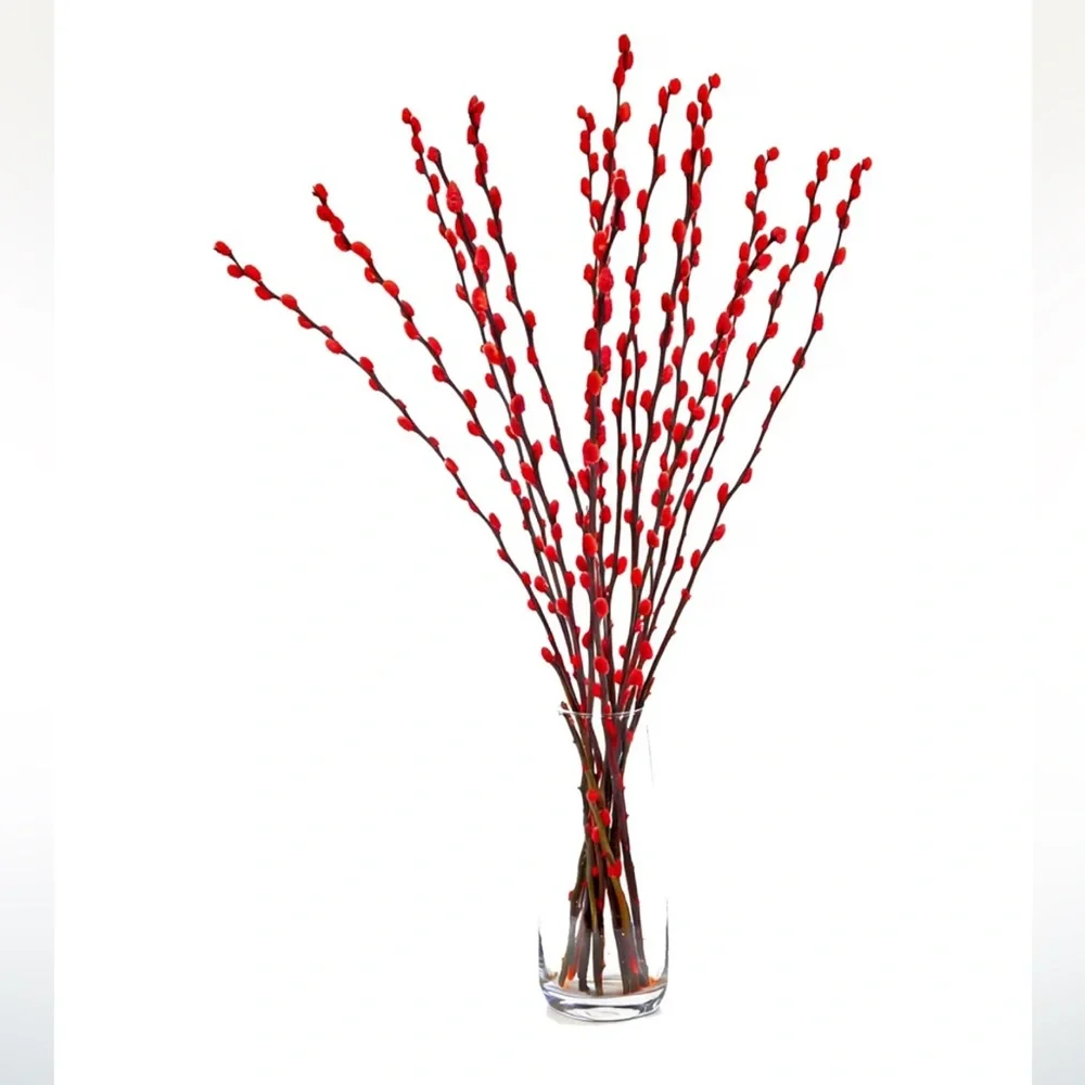 Red Willow Stems 100% Real Floral Plant Home Holiday Decor 16” Length (60pc)